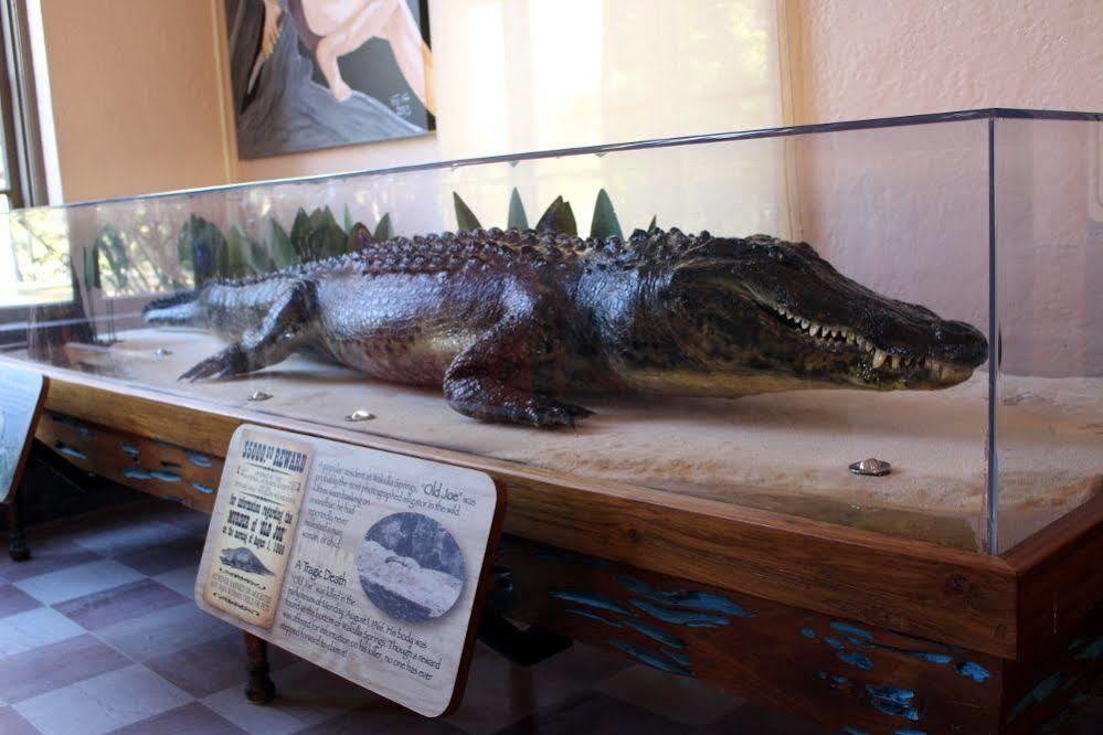 The At Wakulla Springs Crawfordville